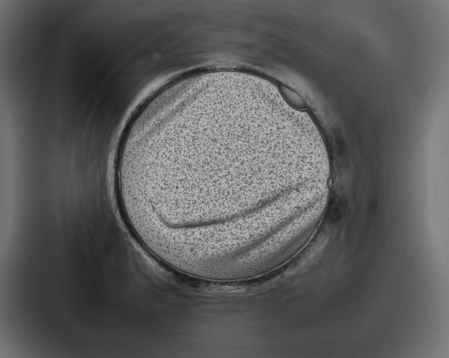 X0000087051183200705160945