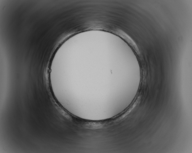 X0000087051190200705160944