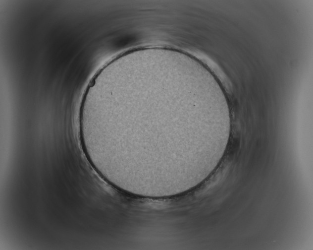 X0000087051191200705160944