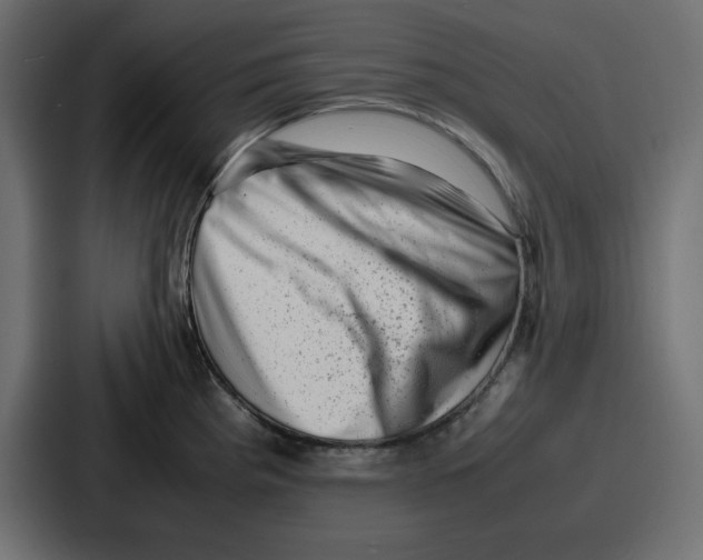 X0000087051193200705160944