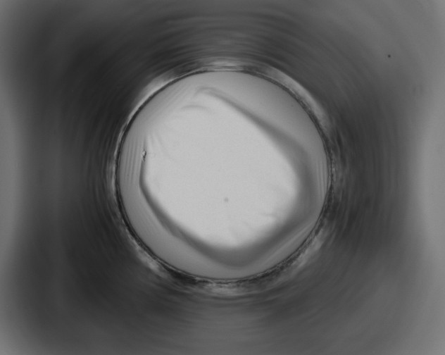 X0000087051194200705160944