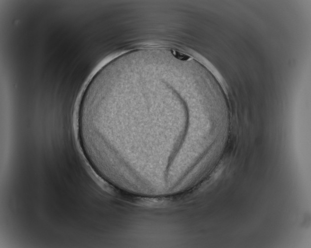 X0000087051195200705160944