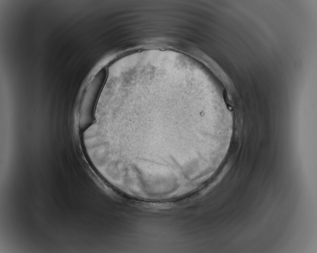 X0000087051196200705160944