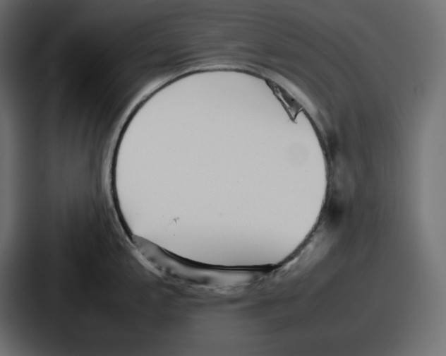 X0000087051197200705160944