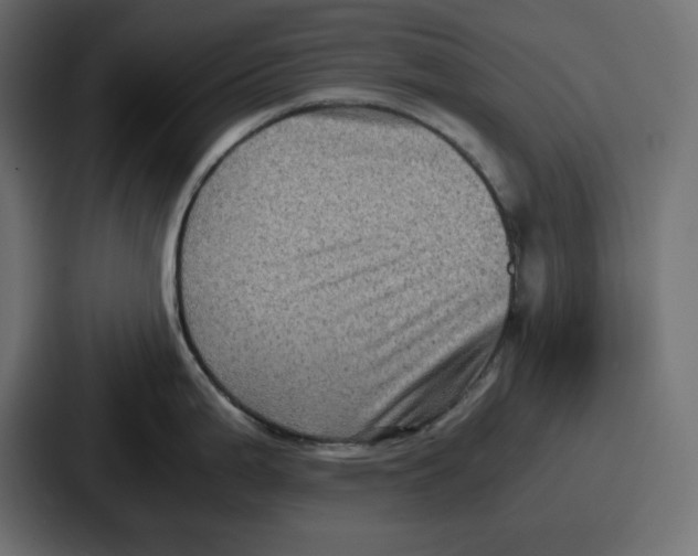 X0000087051199200705160944