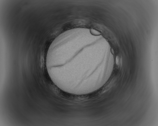 X0000087051203200705160944