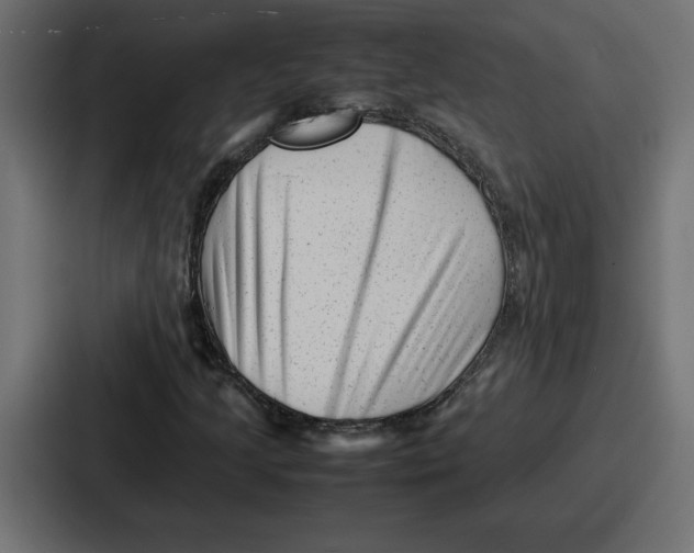 X0000087051205200705160944