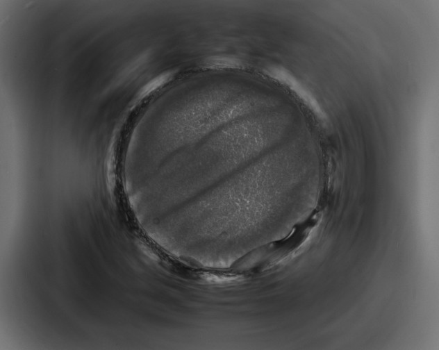 X0000087051213200705160944