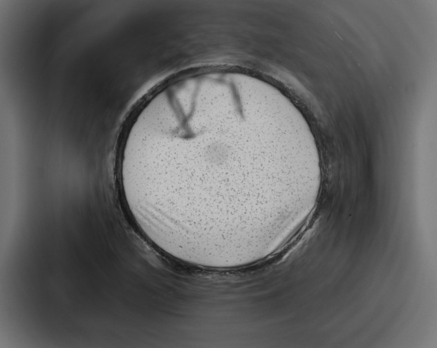 X0000087051216200705160944