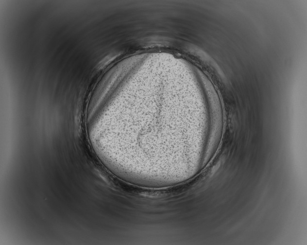 X0000087051217200705160944