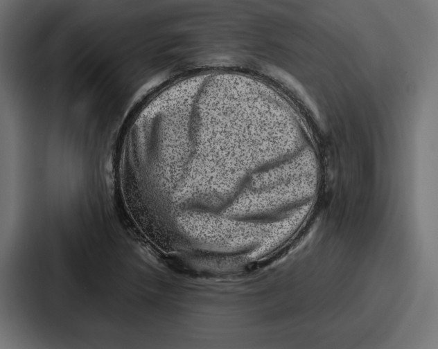 X0000087051218200705160944