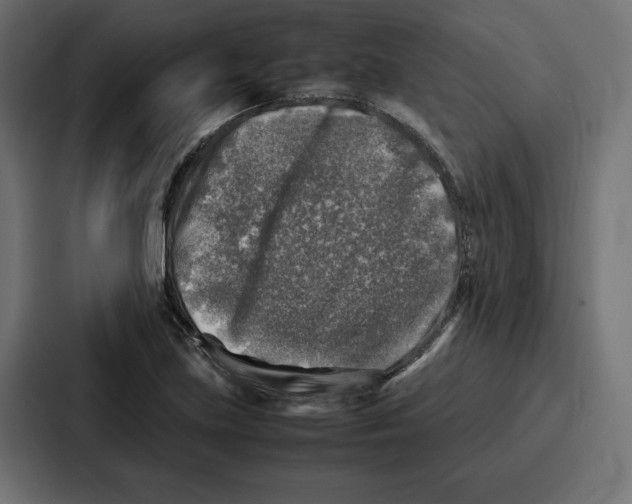 X0000087051219200705160944