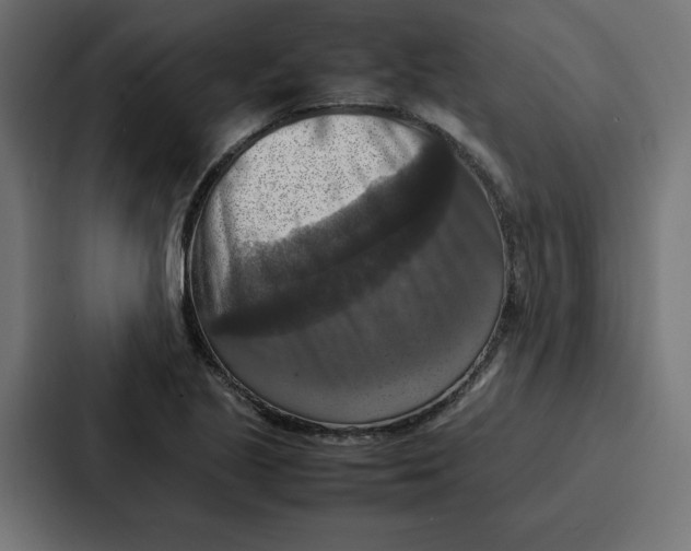 X0000087051221200705160944