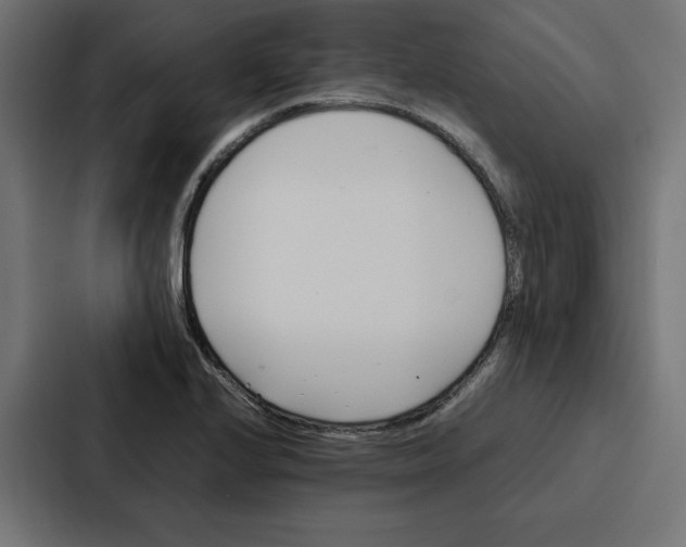 X0000087051224200705160944