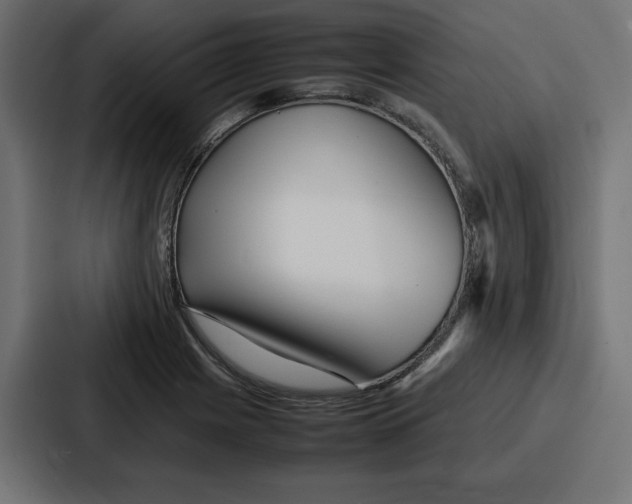 X0000087051225200705160944