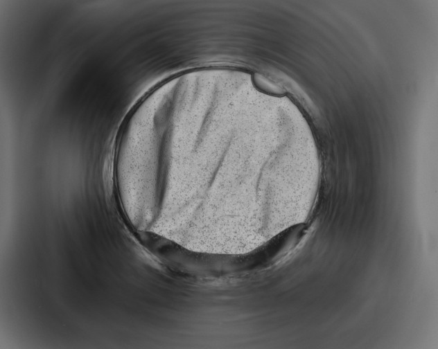 X0000087051228200705160944