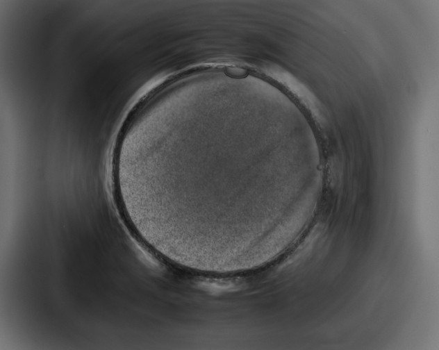 X0000087051229200705160944