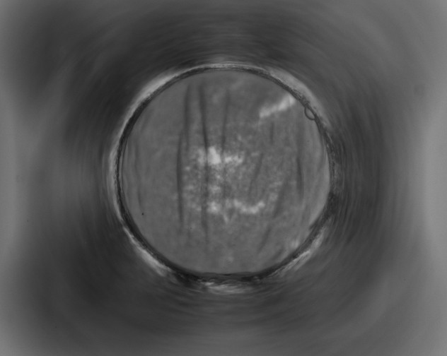 X0000087051231200705160944