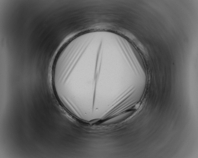 X0000087051232200705160944