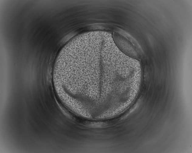 X0000087051233200705160944