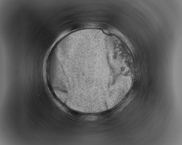 X0000087051235200705160944