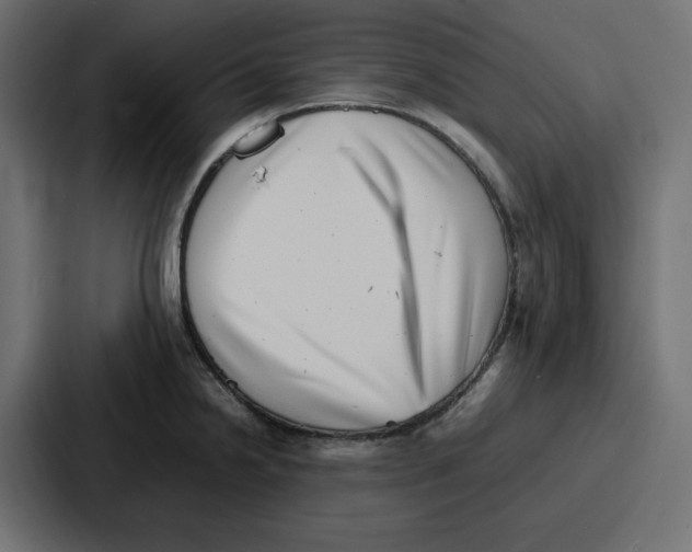 X0000087051238200705160944