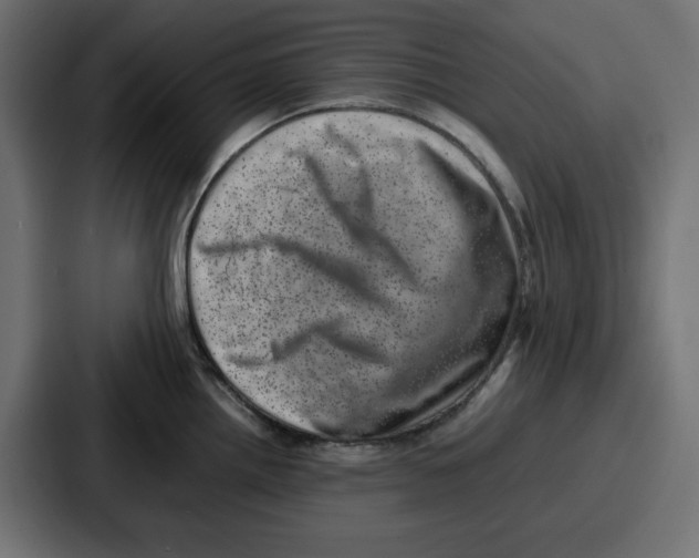 X0000087051242200705160944