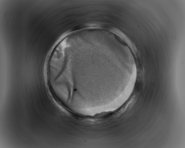 X0000087051243200705160944