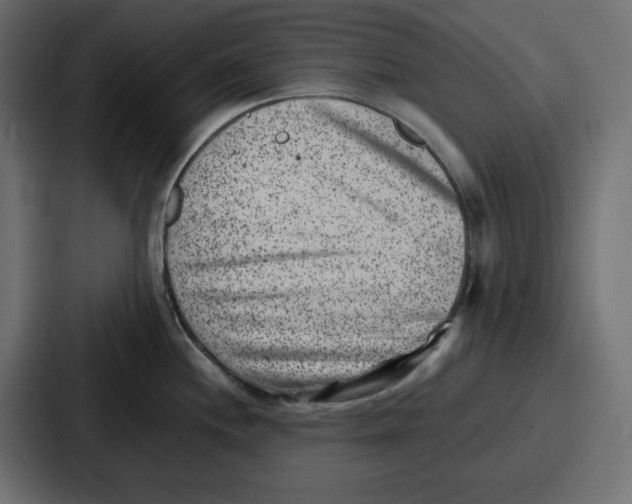 X0000087051244200705160944