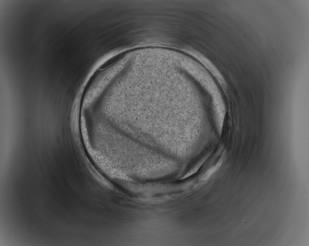 X0000087051246200705160944