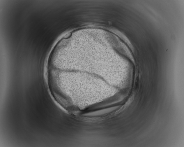 X0000087051247200705160944