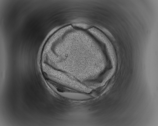 X0000087051248200705160944