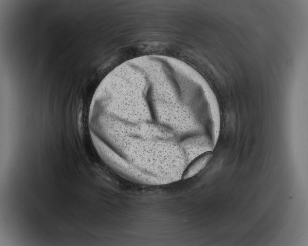 X0000087051250200705160944