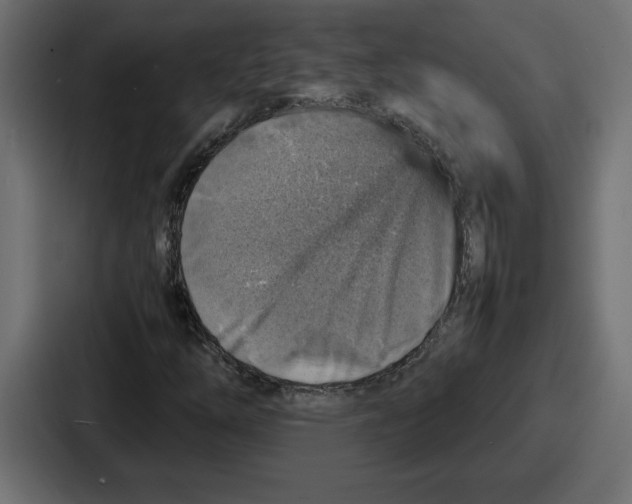 X0000087051254200705160944