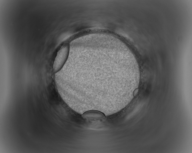 X0000087051255200705160944