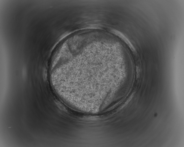 X0000087051260200705160944