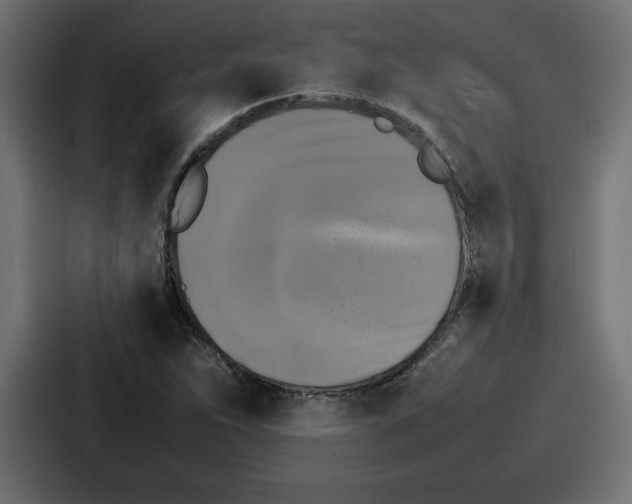 X0000087051263200705160943