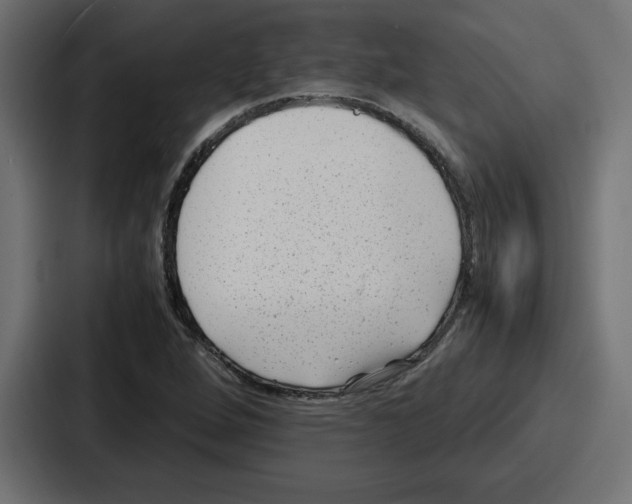 X0000087051264200705160943