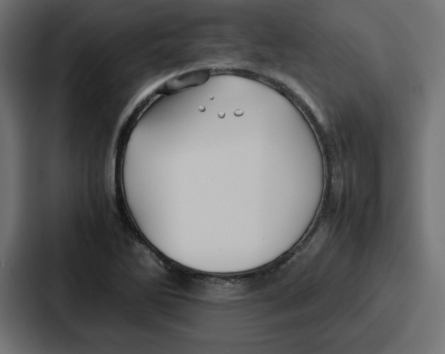 X0000087051270200705160943