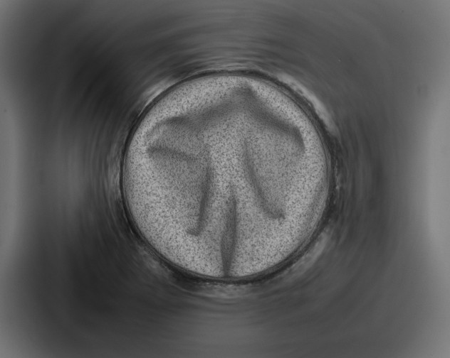 X0000087051273200705160943