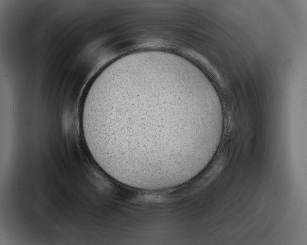 X0000087051274200705160943