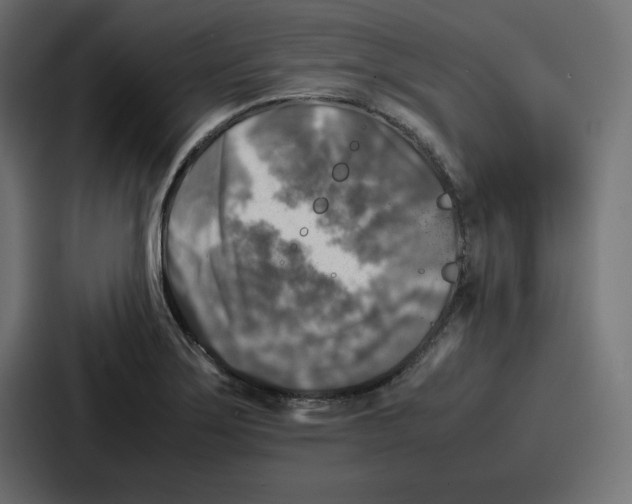 X0000087051275200705160943