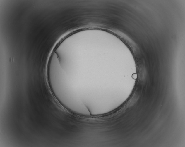 X0000087051280200705160943