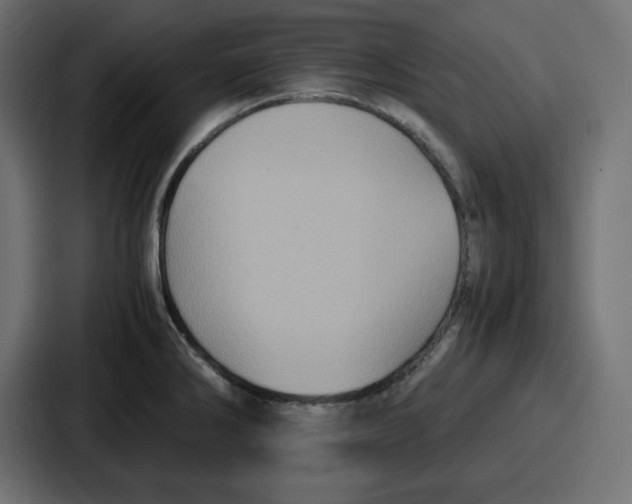 X0000087051286200705160943