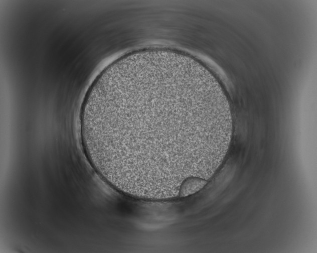 X0000087051287200705160943