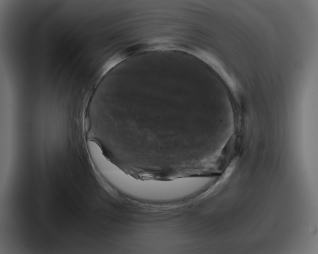 X0000087051289200705160943