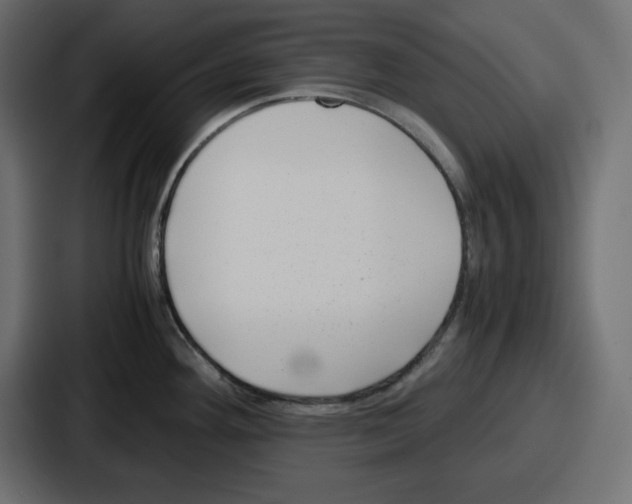 X0000087051292200705160943