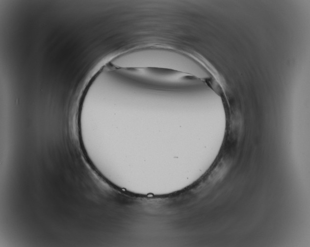 X0000087051293200705160943