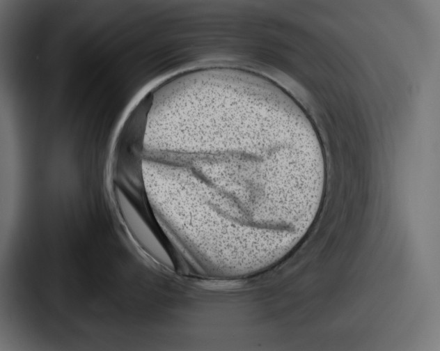 X0000087051296200705160943