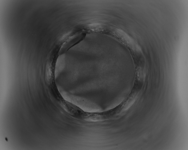 X0000087051298200705160942